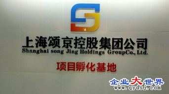 頌京控股集團(tuán)旗下網(wǎng)絡(luò)科技公司 立足上海，引領(lǐng)數(shù)字化服務(wù)新浪潮